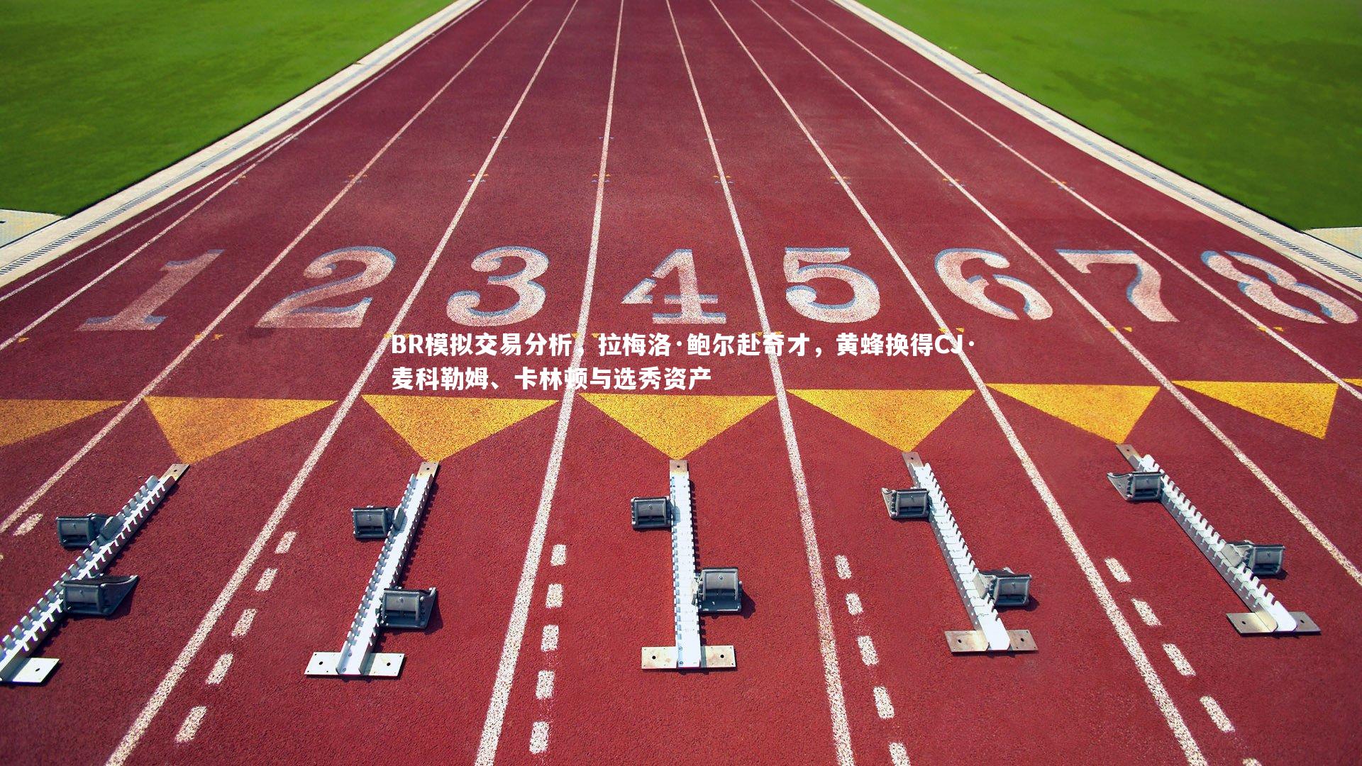 YY易游体育平台-BR模拟交易分析，拉梅洛·鲍尔赴奇才，黄蜂换得CJ·麦科勒姆、卡林顿与选秀资产